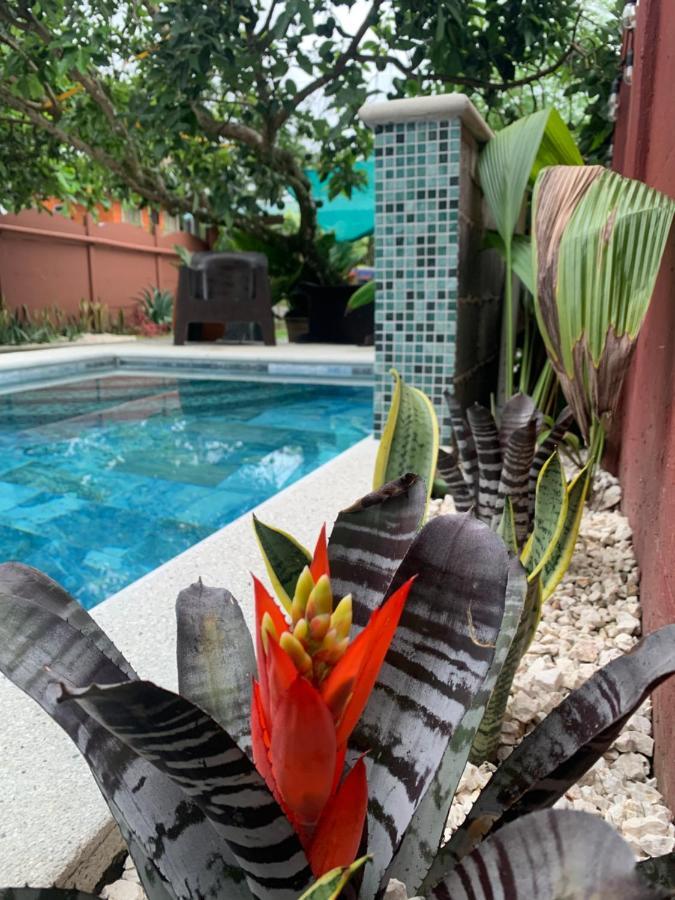 Villa Jade, La Fortuna Downtown Exteriör bild